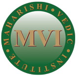 Logo MVI